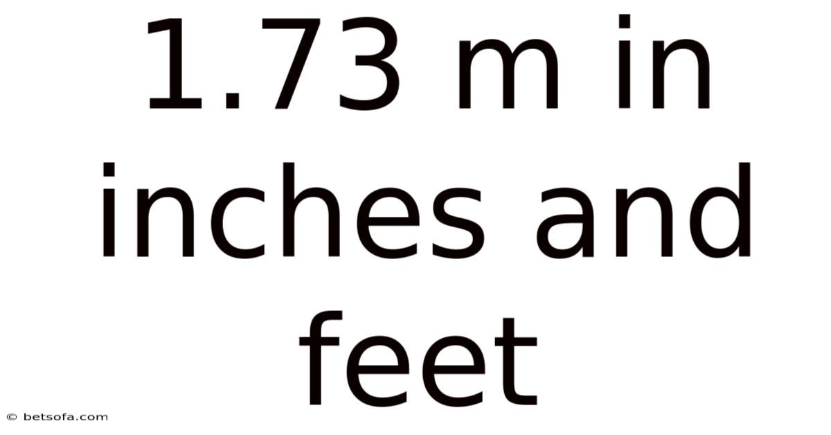 1.73 M In Inches And Feet