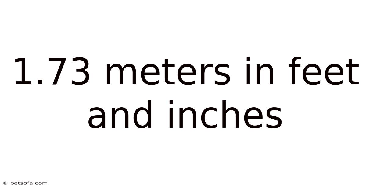 1.73 Meters In Feet And Inches