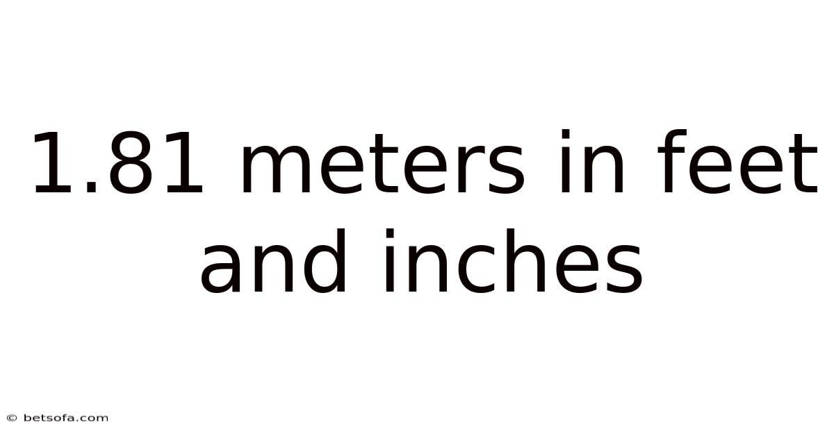 1.81 Meters In Feet And Inches