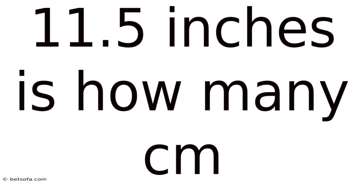 11.5 Inches Is How Many Cm