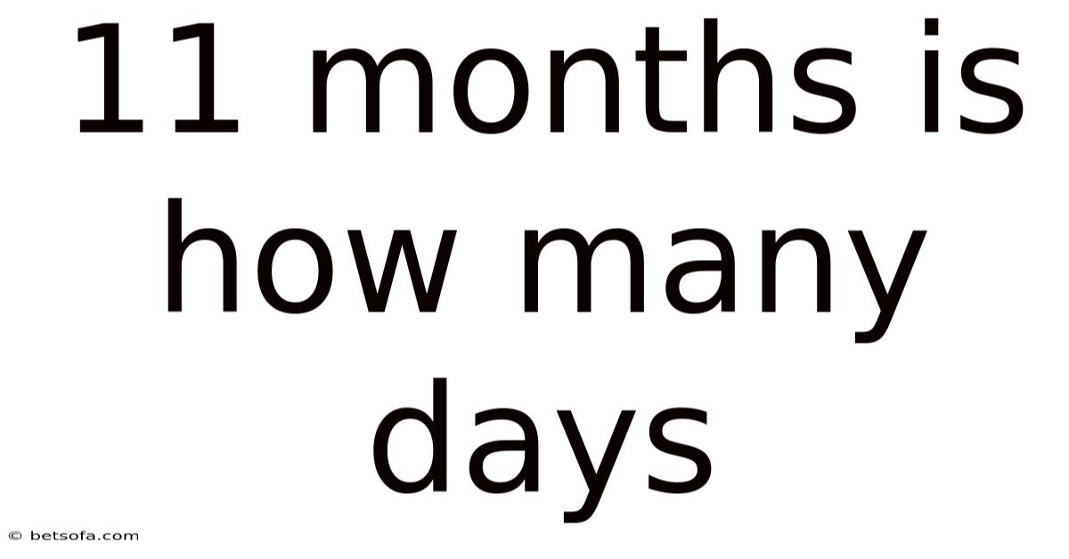 11 Months Is How Many Days