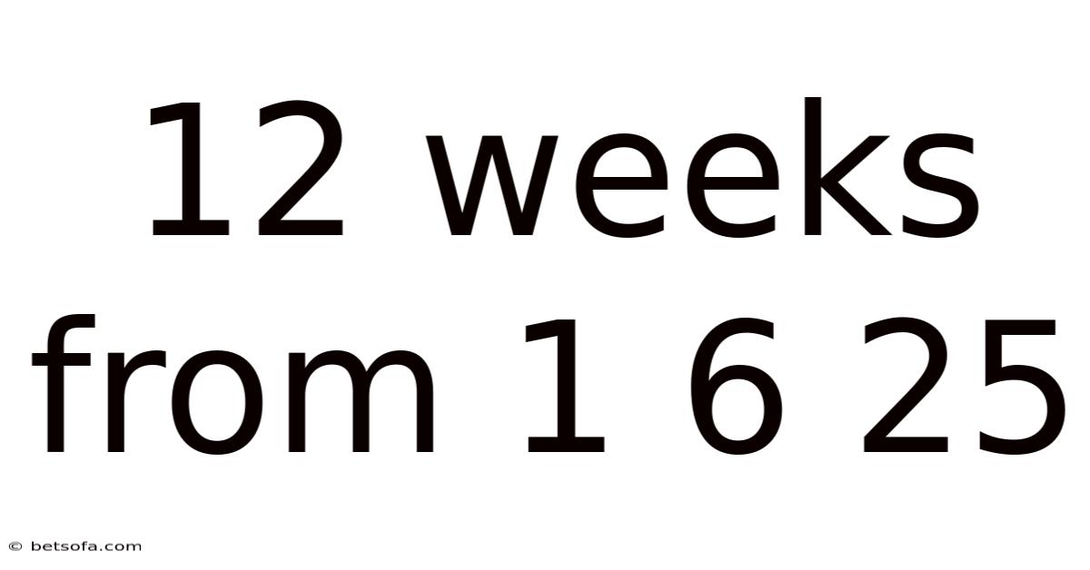 12 Weeks From 1 6 25