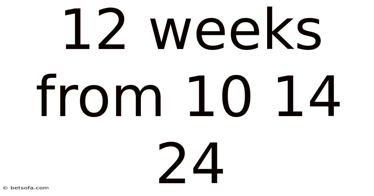 12 Weeks From 10 14 24
