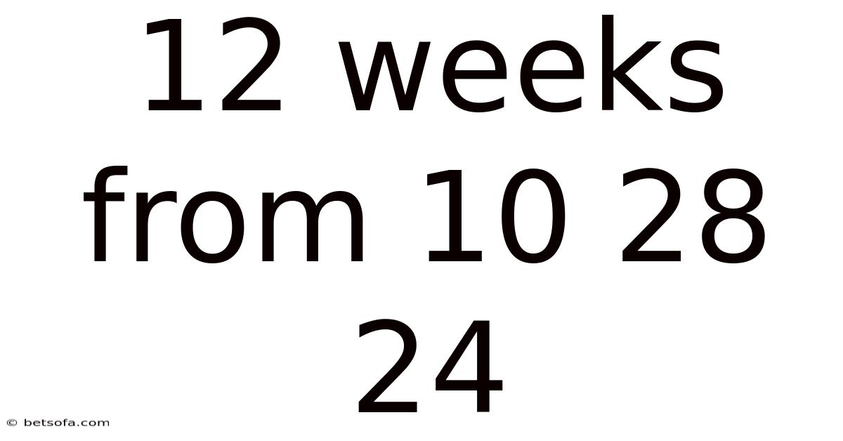 12 Weeks From 10 28 24