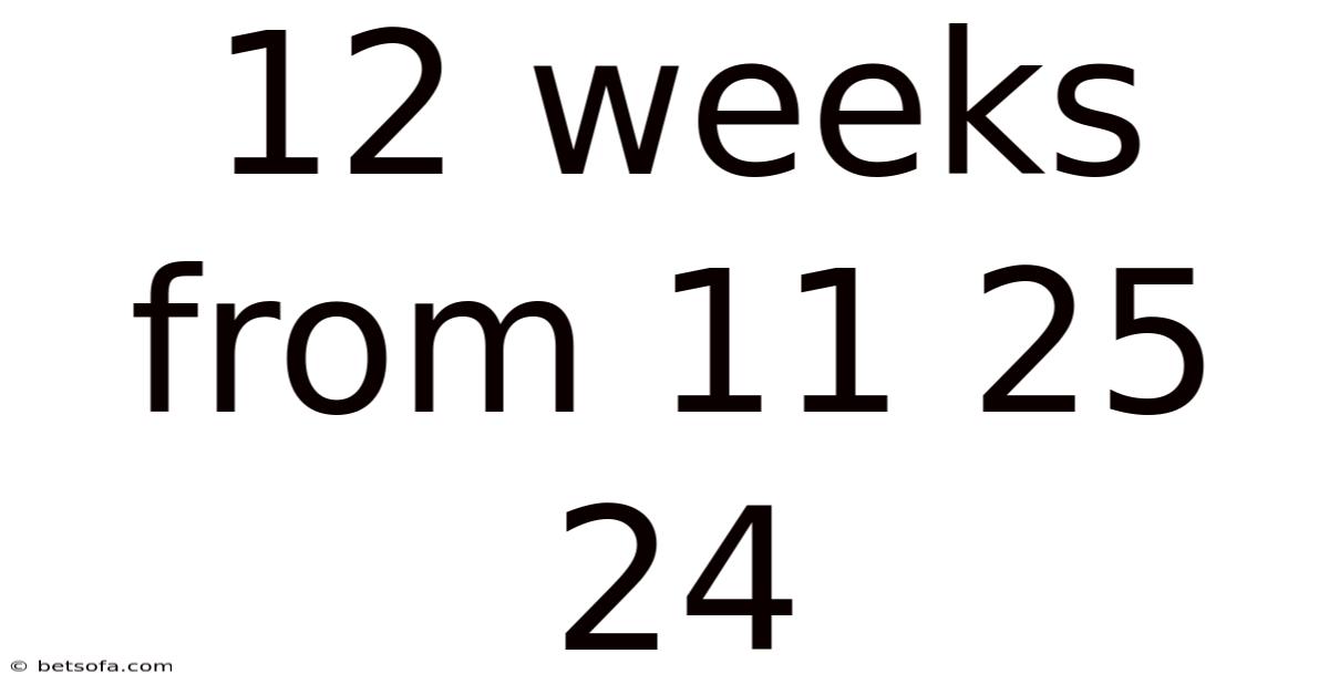 12 Weeks From 11 25 24
