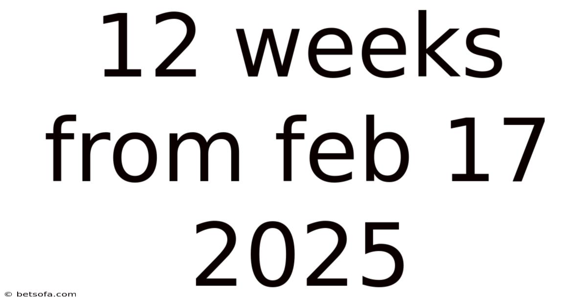 12 Weeks From Feb 17 2025