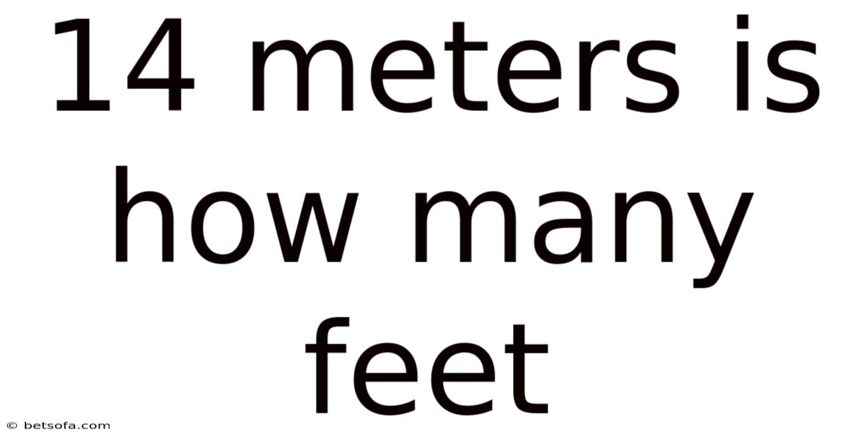14 Meters Is How Many Feet