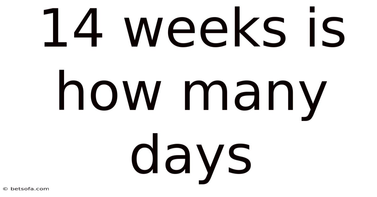 14 Weeks Is How Many Days