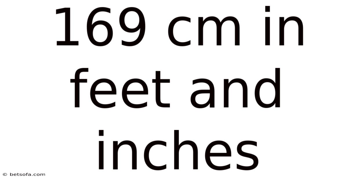 169 Cm In Feet And Inches