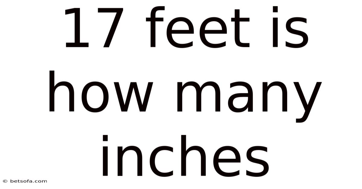 17 Feet Is How Many Inches