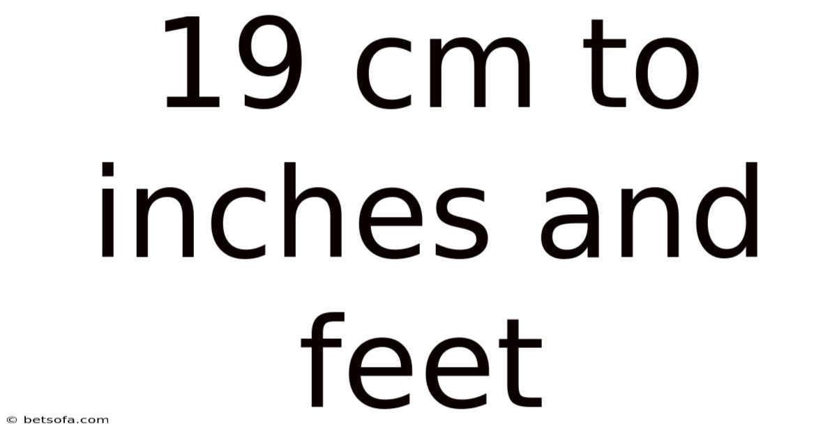 19 Cm To Inches And Feet