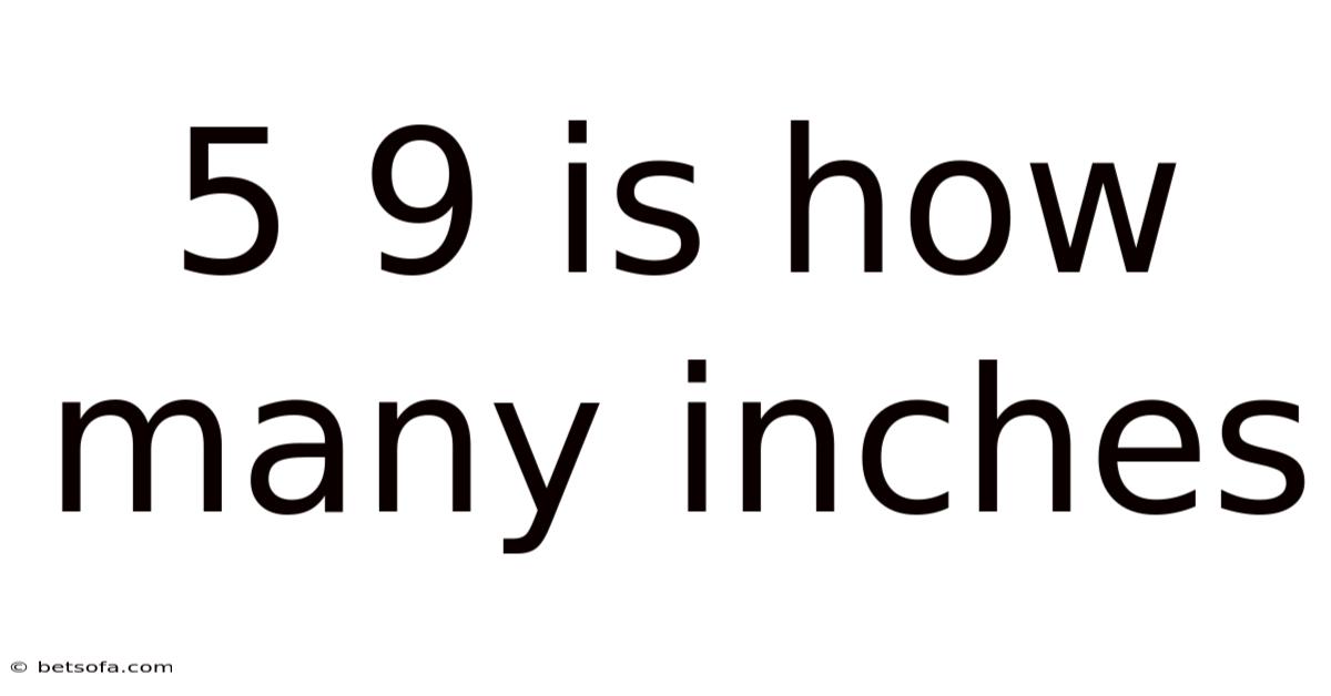 5 9 Is How Many Inches
