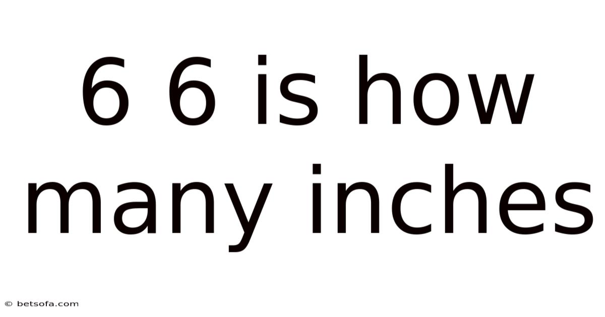6 6 Is How Many Inches