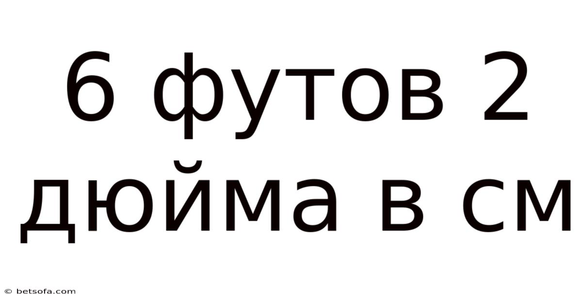 6 Футов 2 Дюйма В См
