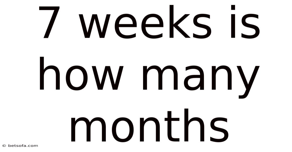 7 Weeks Is How Many Months