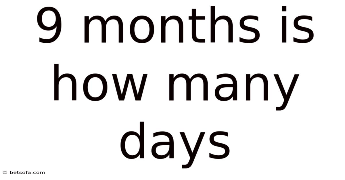9 Months Is How Many Days