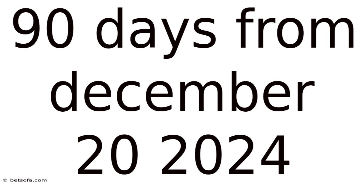 90 Days From December 20 2024