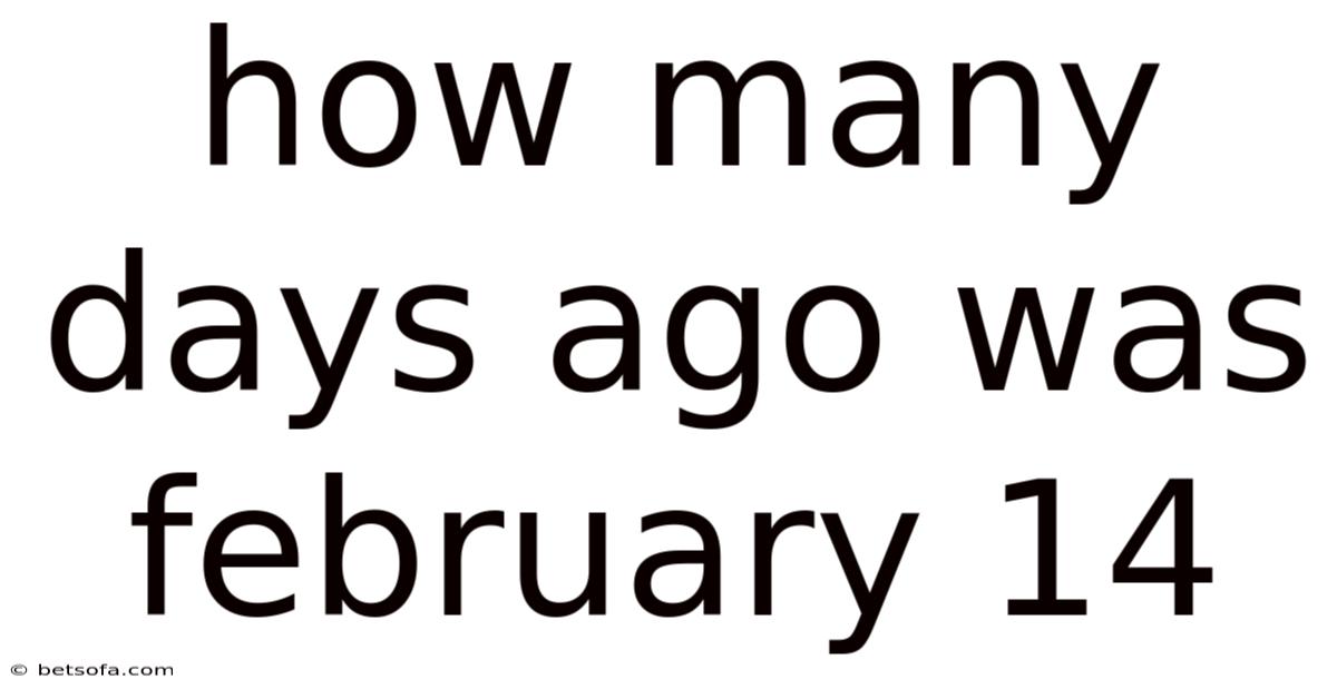 How Many Days Ago Was February 14