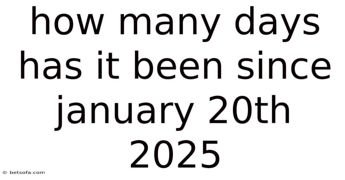How Many Days Has It Been Since January 20th 2025