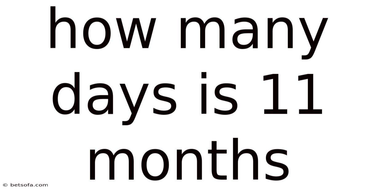 How Many Days Is 11 Months