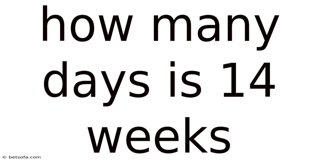 How Many Days Is 14 Weeks