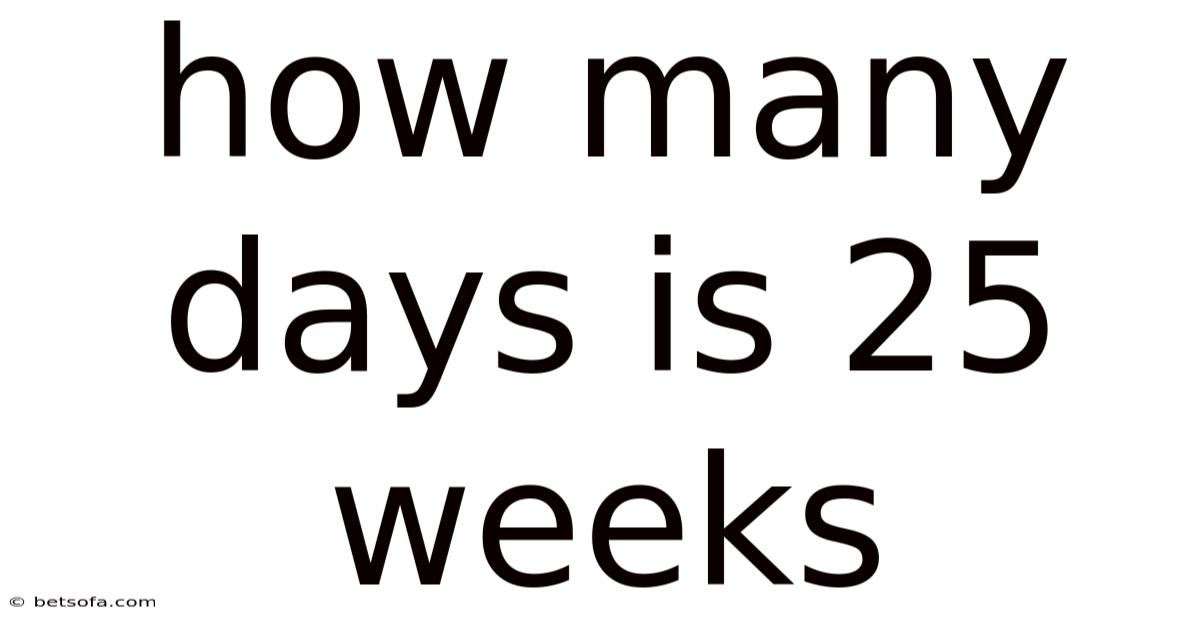 How Many Days Is 25 Weeks