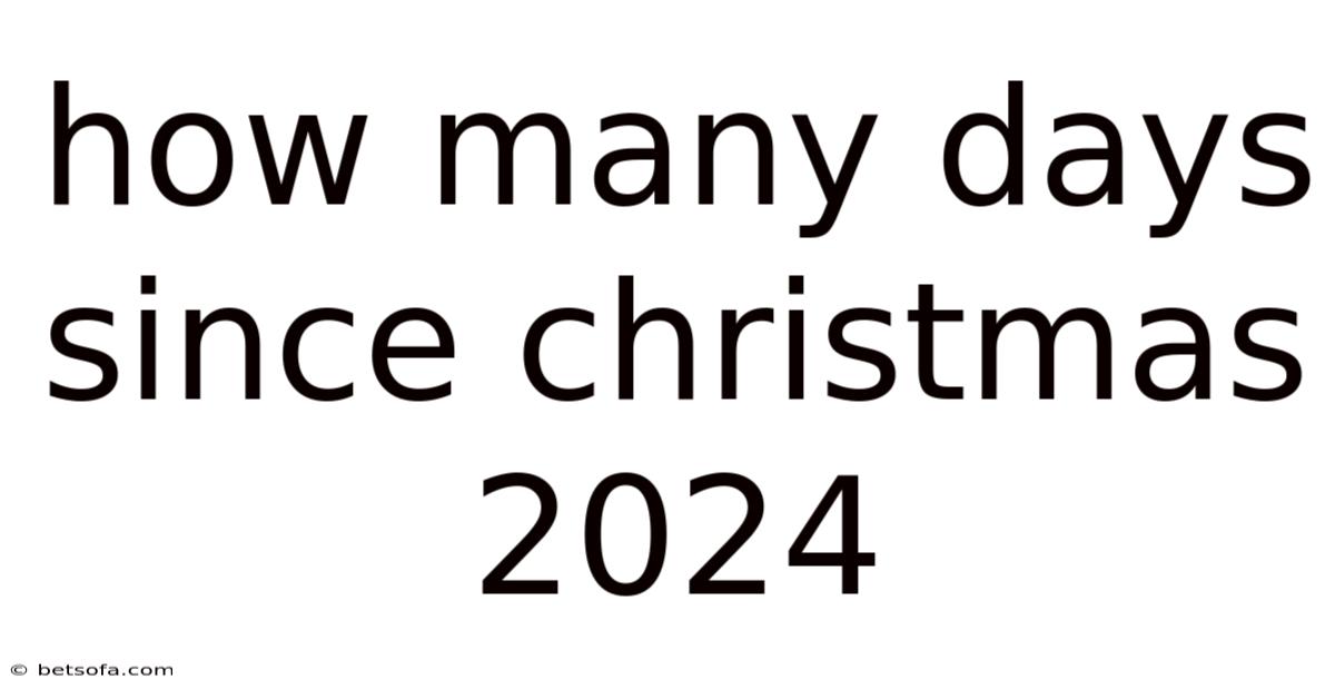 How Many Days Since Christmas 2024