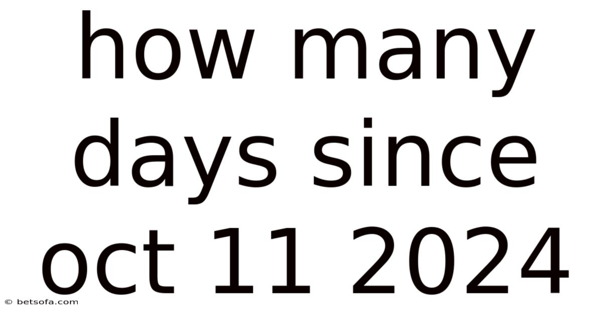 How Many Days Since Oct 11 2024