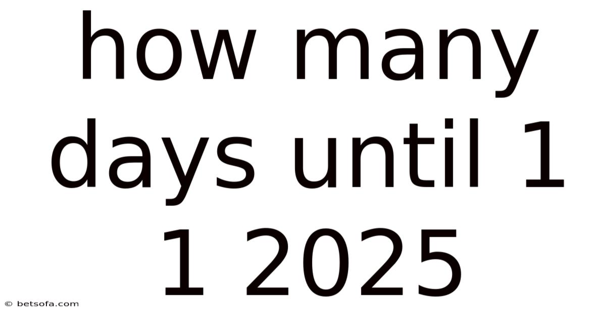 How Many Days Until 1 1 2025