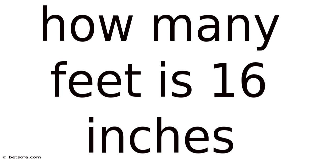 How Many Feet Is 16 Inches
