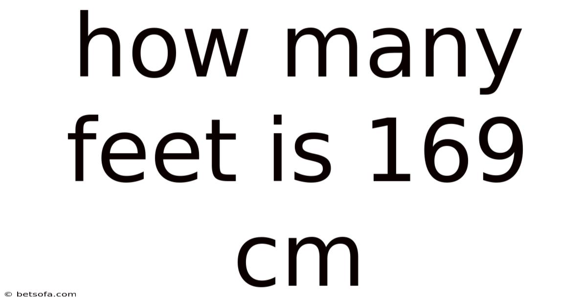 How Many Feet Is 169 Cm