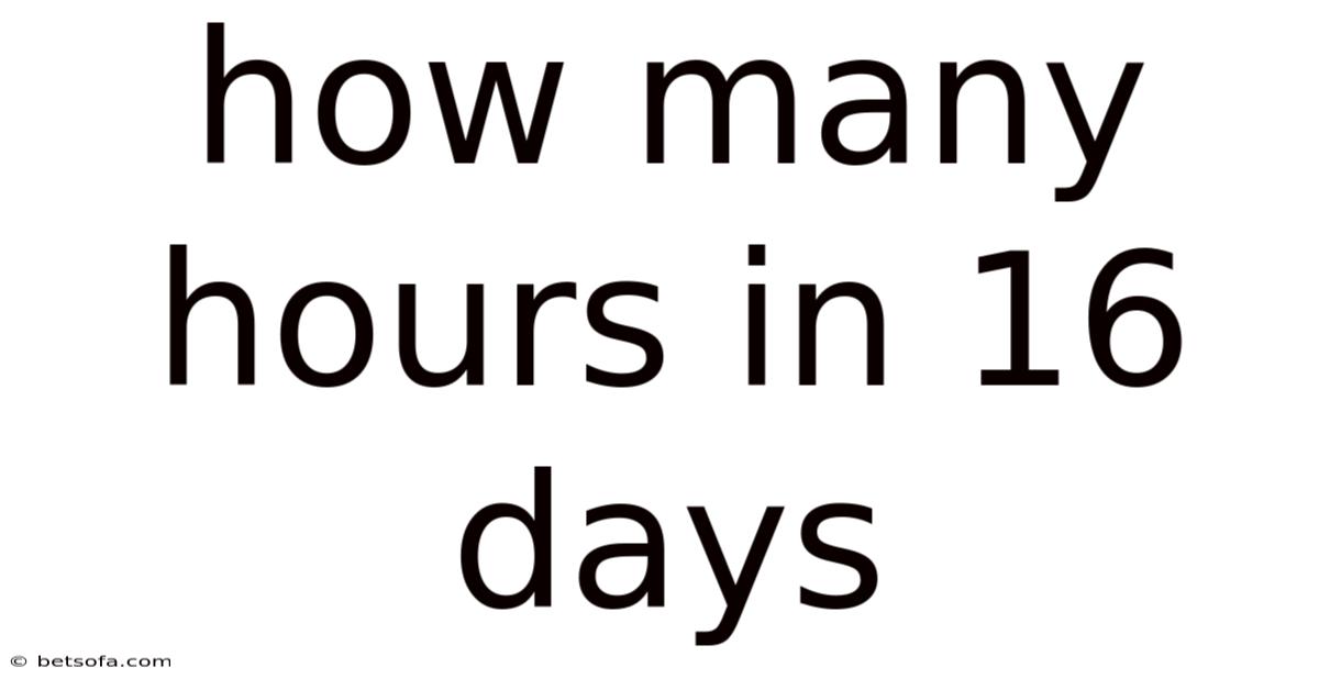 How Many Hours In 16 Days