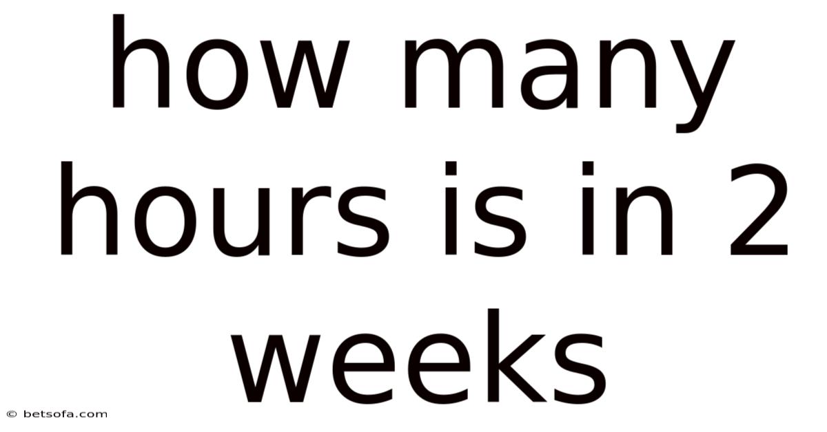 How Many Hours Is In 2 Weeks