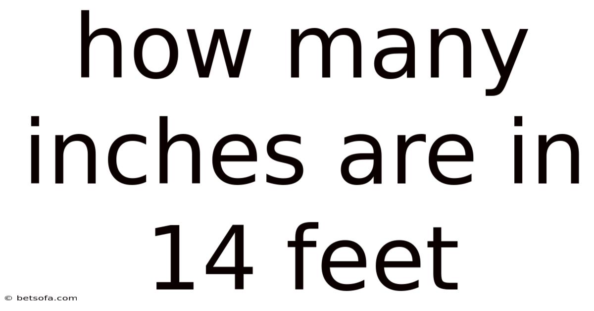 How Many Inches Are In 14 Feet