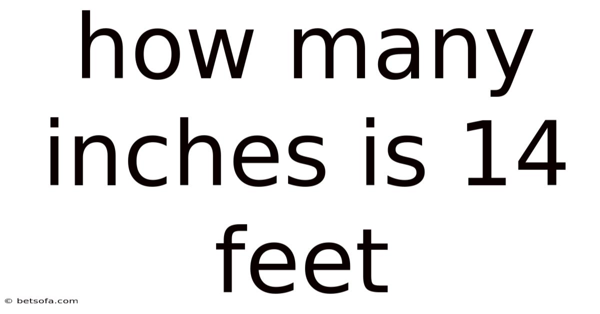 How Many Inches Is 14 Feet