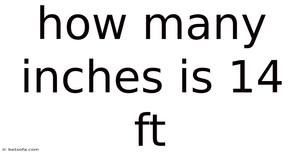 How Many Inches Is 14 Ft