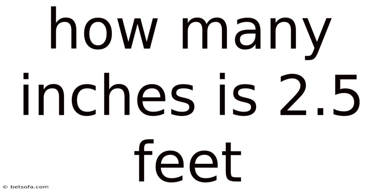 How Many Inches Is 2.5 Feet