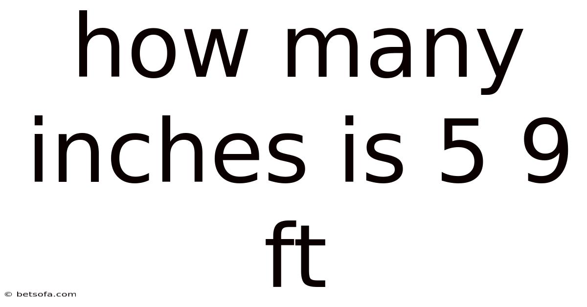 How Many Inches Is 5 9 Ft