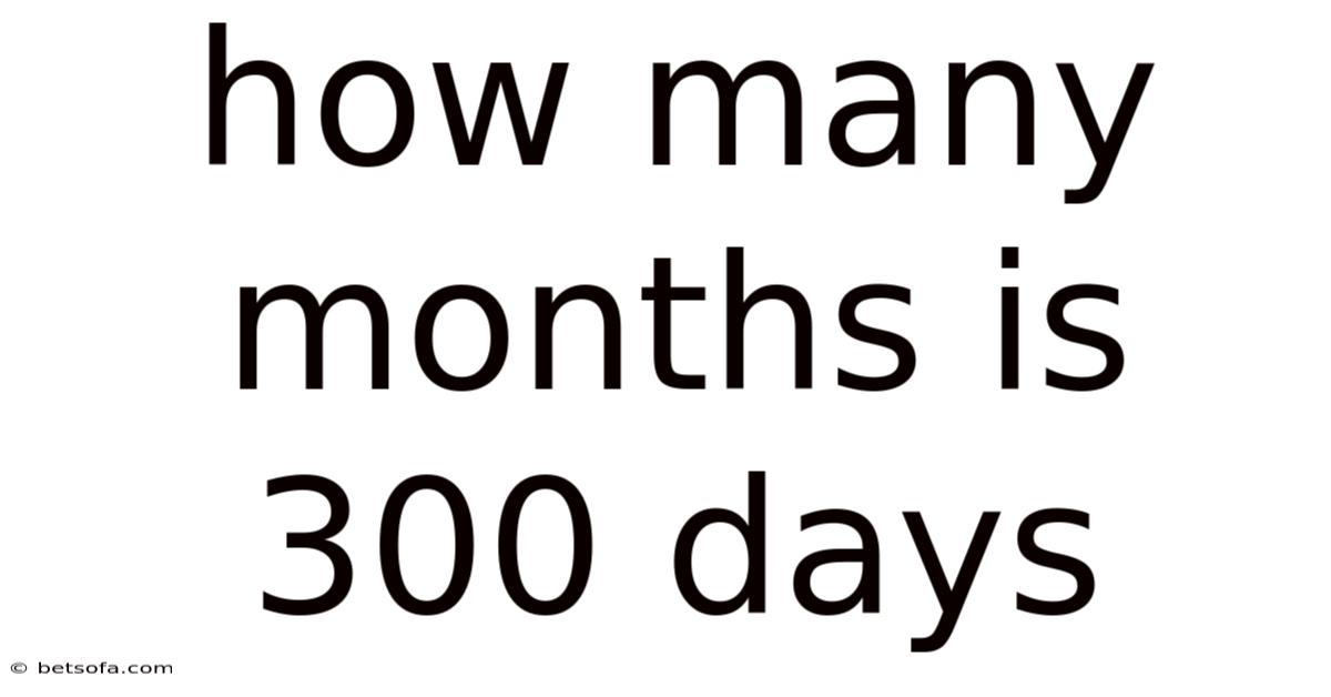 How Many Months Is 300 Days
