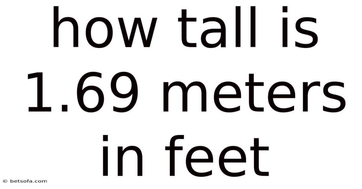 How Tall Is 1.69 Meters In Feet
