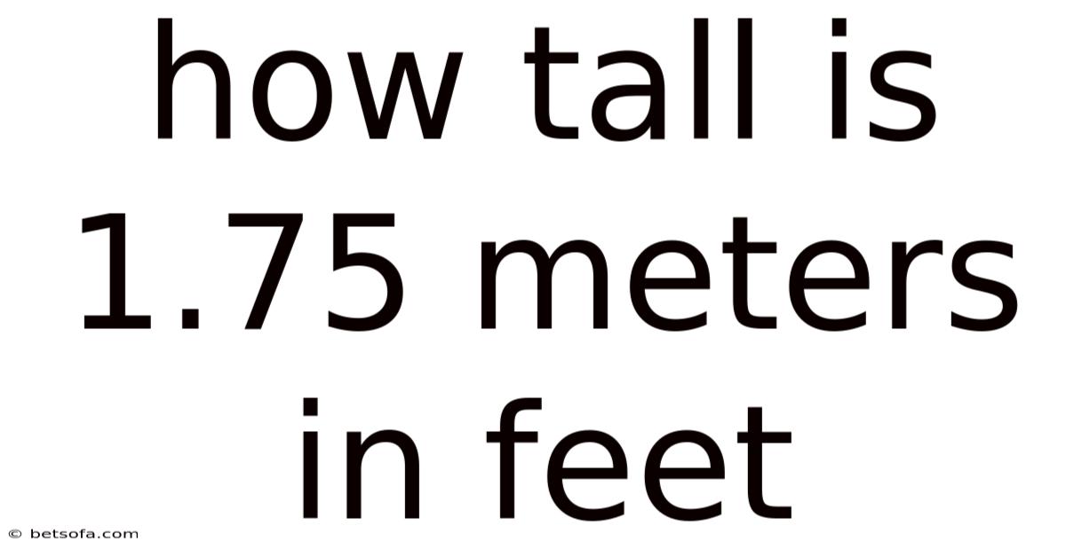 How Tall Is 1.75 Meters In Feet