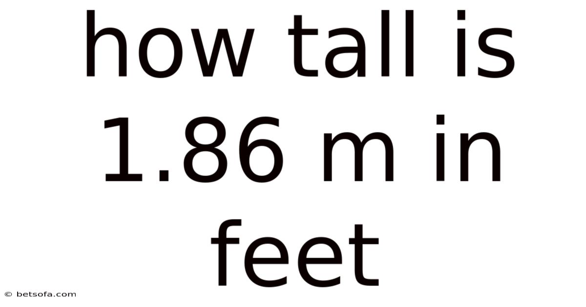 How Tall Is 1.86 M In Feet