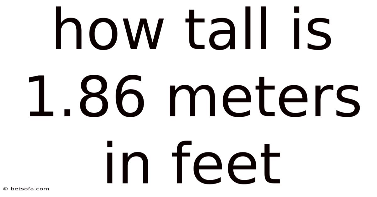 How Tall Is 1.86 Meters In Feet