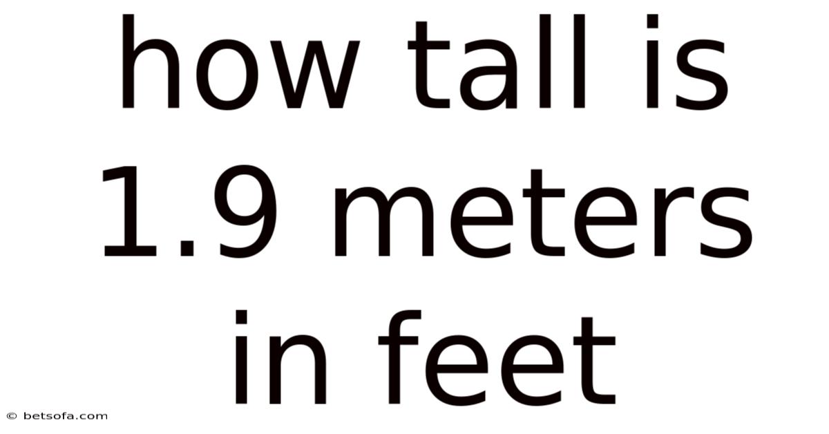 How Tall Is 1.9 Meters In Feet