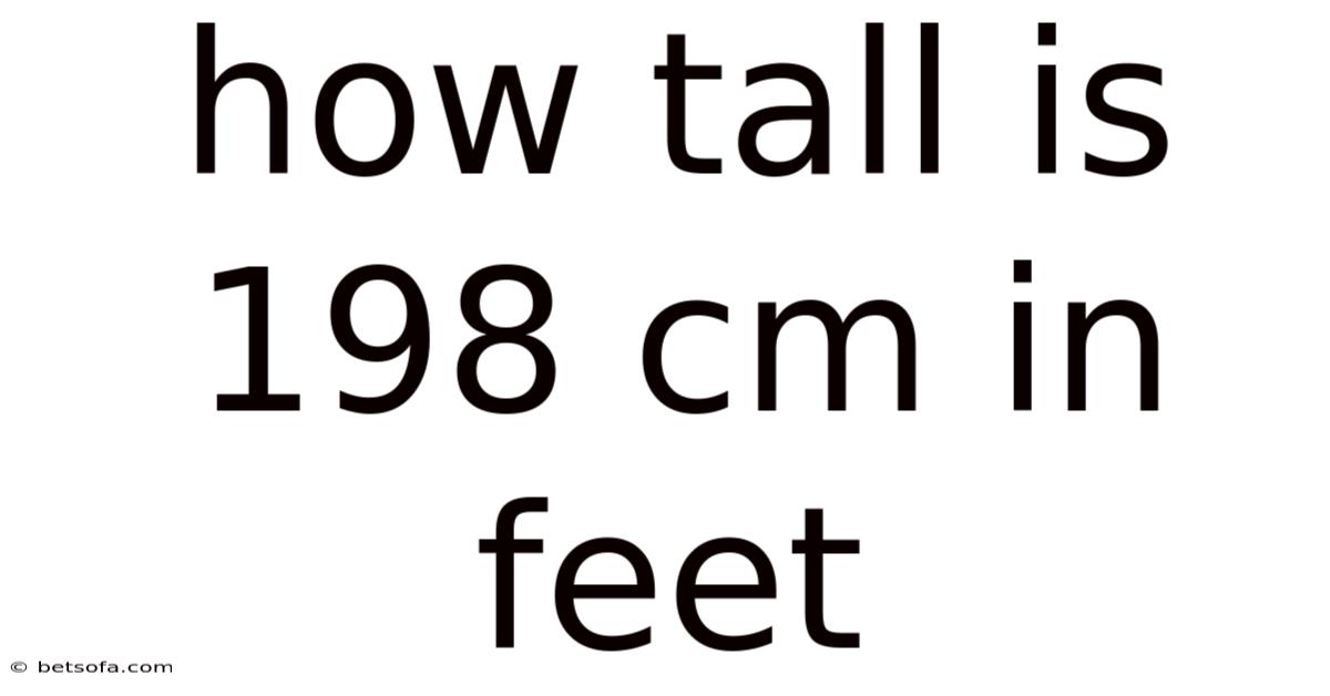 How Tall Is 198 Cm In Feet