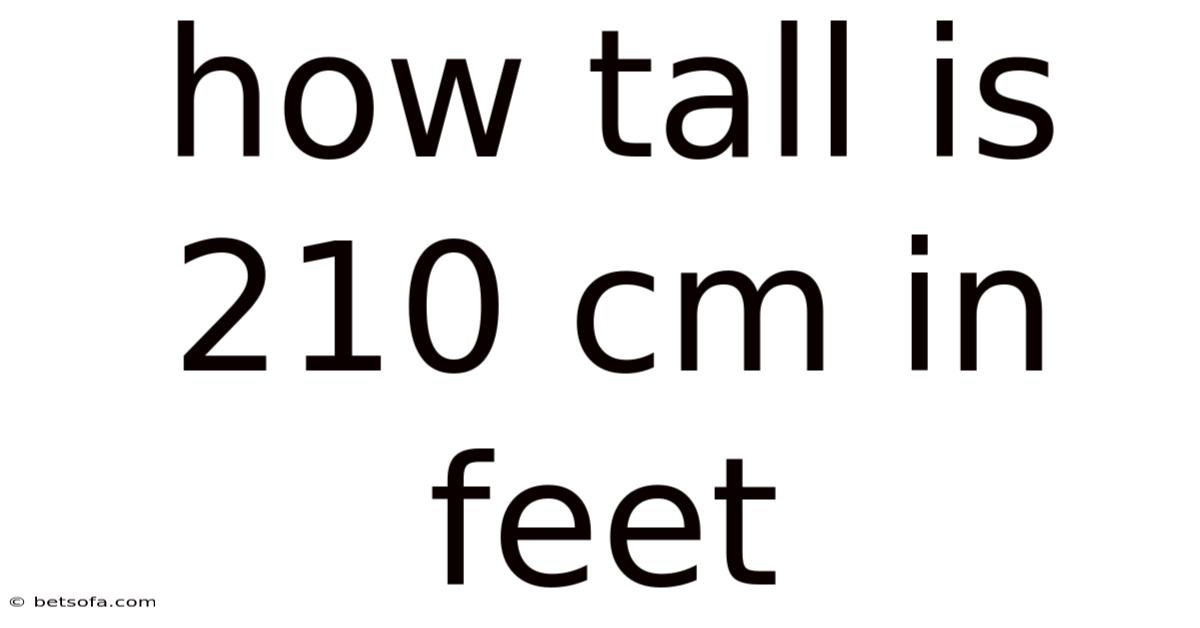 How Tall Is 210 Cm In Feet