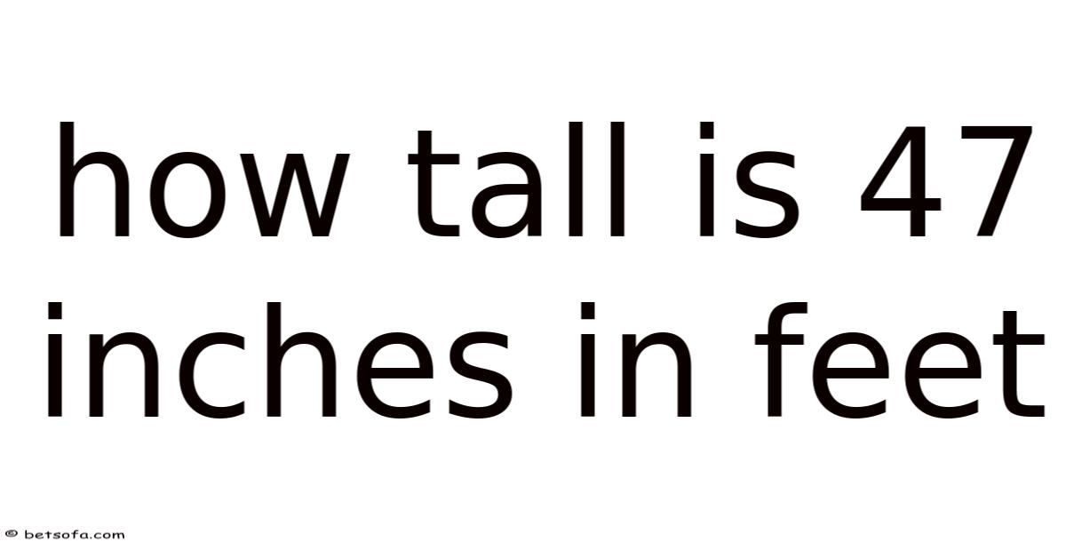 47 Inch Objects How Tall Is 47 Inches In Feet
