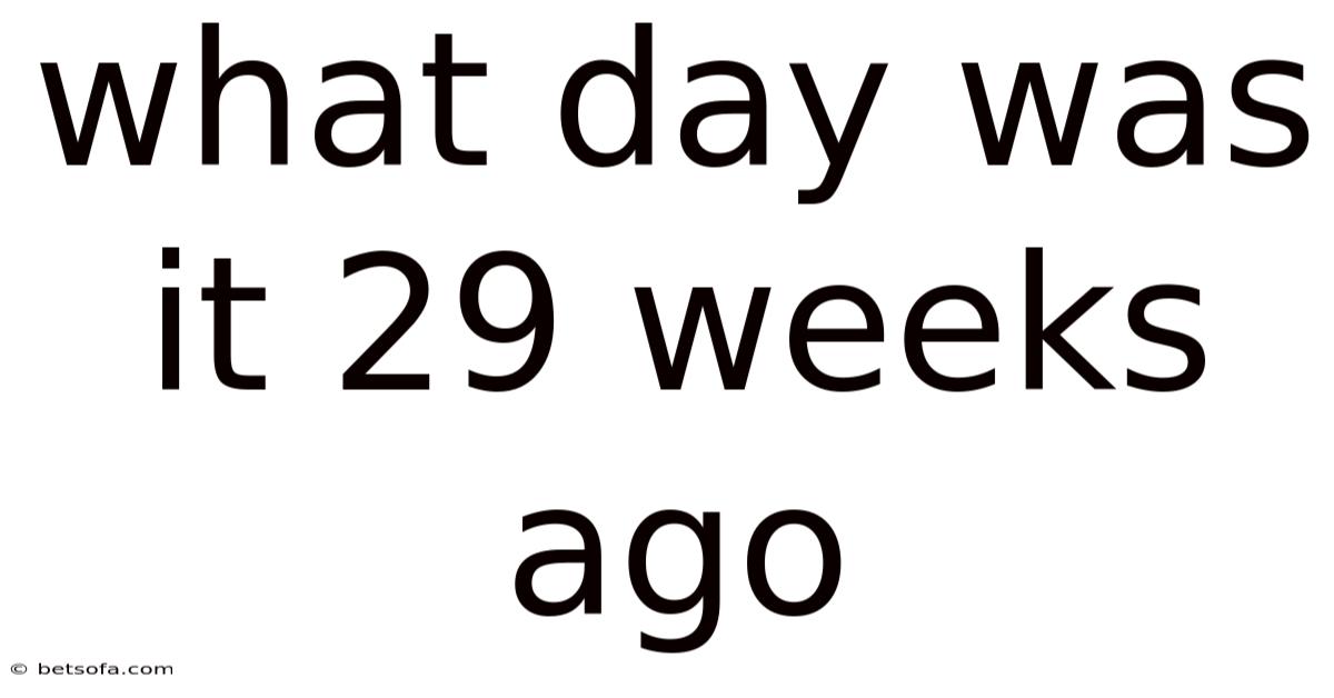 What Day Was It 29 Weeks Ago