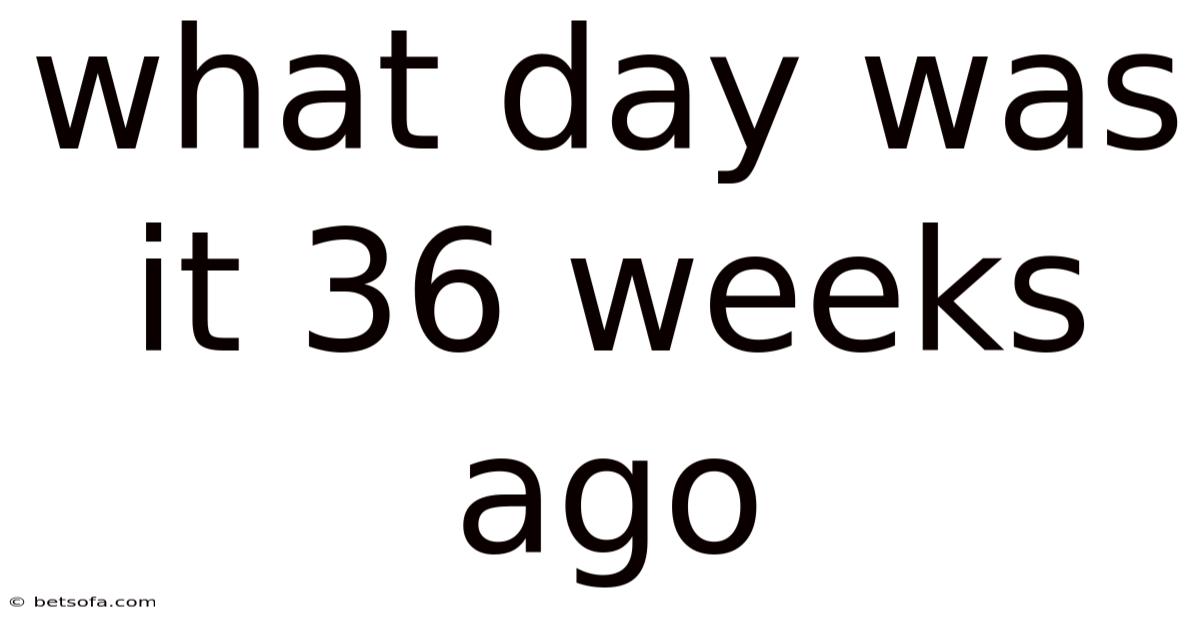 What Day Was It 36 Weeks Ago