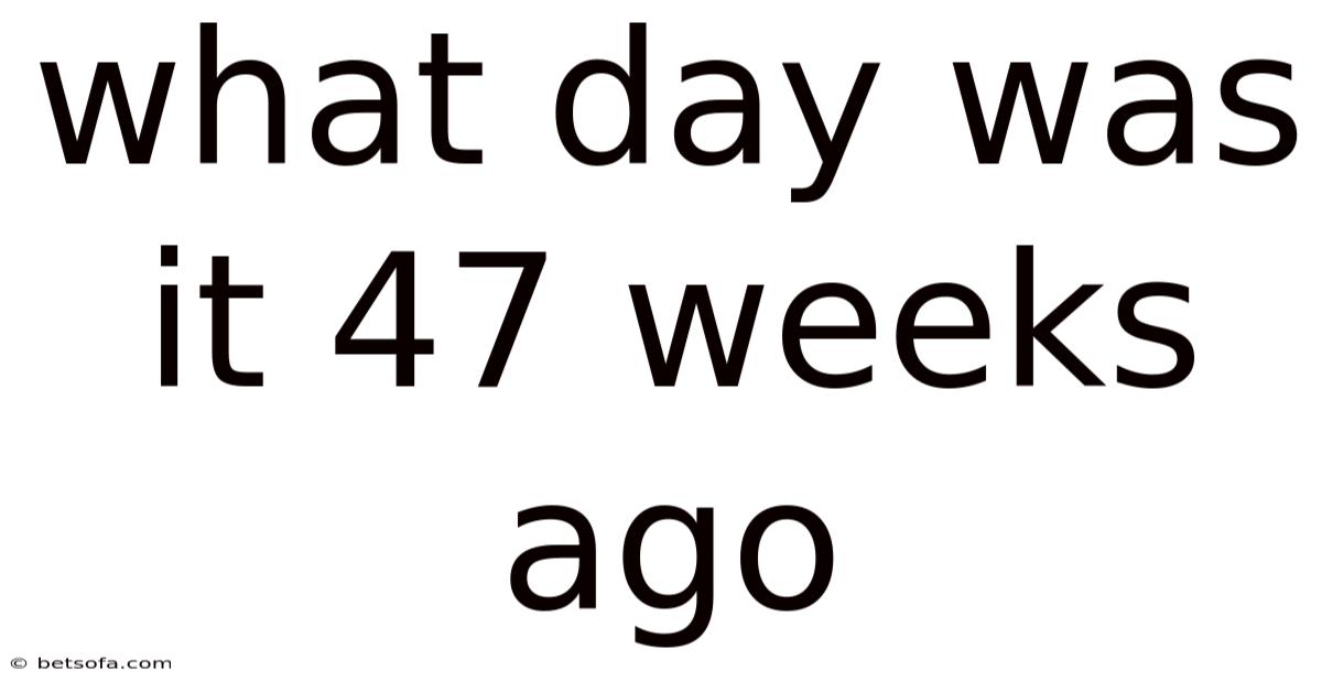 What Day Was It 47 Weeks Ago